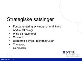 strategiske satsinger
