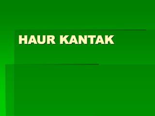 haur kantak