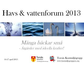 havs vattenforum 2013
