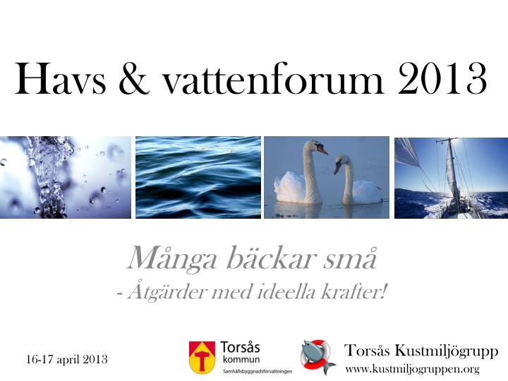 havs vattenforum 2013