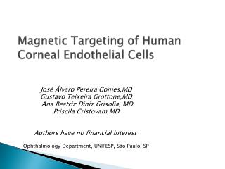 Magnetic Targeting of Human Corneal Endothelial Cells