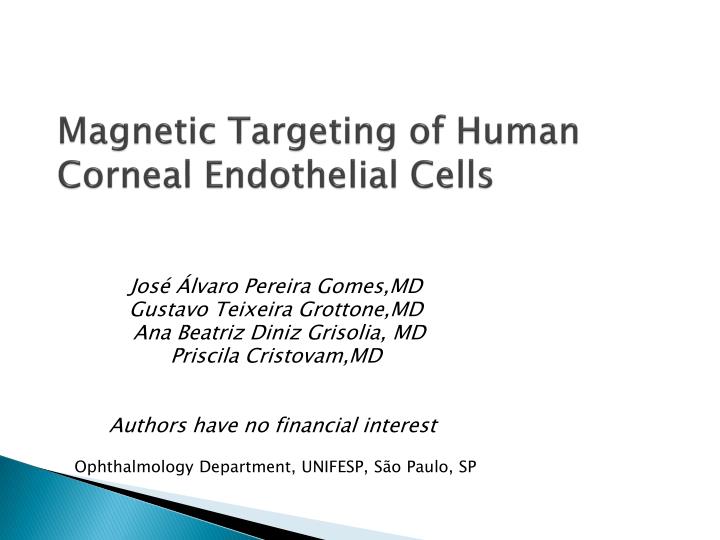 magnetic targeting of human corneal endothelial cells