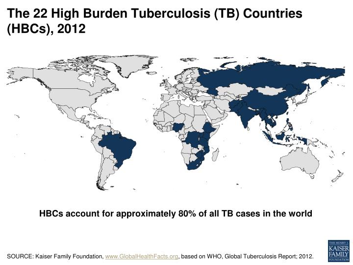 the 22 high burden tuberculosis tb countries hbcs 2012