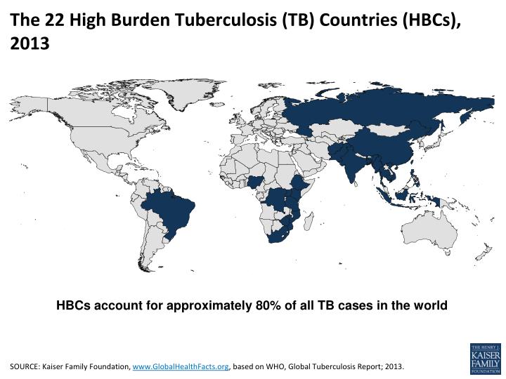 the 22 high burden tuberculosis tb countries hbcs 2013