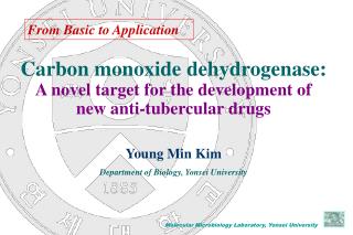 Carbon monoxide dehydrogenase: A novel target for the development of new anti-tubercular drugs