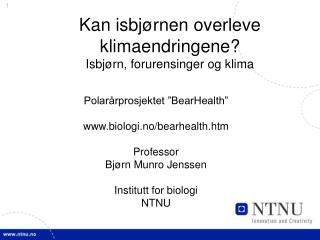 kan isbj rnen overleve klimaendringene isbj rn forurensinger og klima