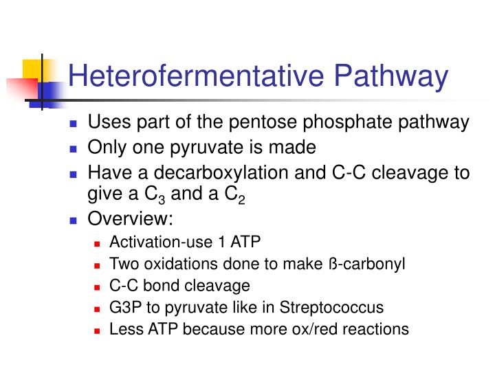 heterofermentative pathway