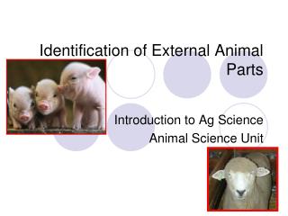 Identification of External Animal Parts