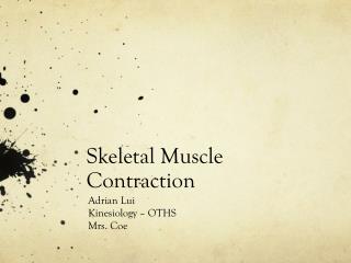 Skeletal Muscle Contraction