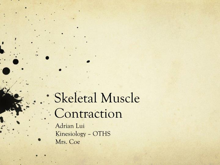 skeletal muscle contraction