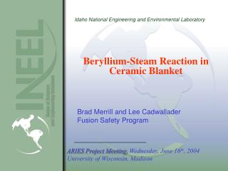 Beryllium-Steam Reaction in Ceramic Blanket