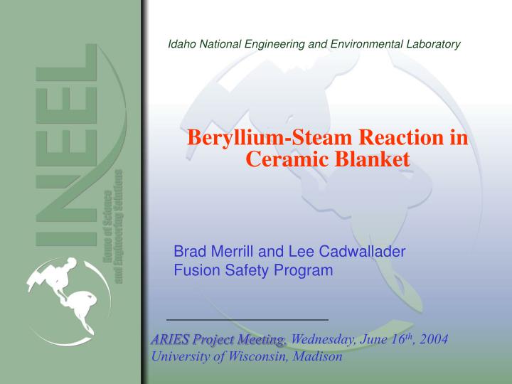 beryllium steam reaction in ceramic blanket