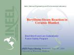 Analyzing Beryllium-Steam Reaction in ARIES Ceramic Blanket Module Accidents - slide 1
