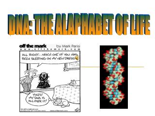DNA: THE ALAPHABET OF LIFE