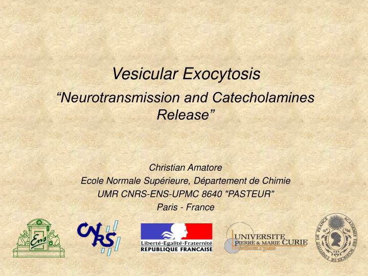 vesicular exocytosis neurotransmission and catecholamines release