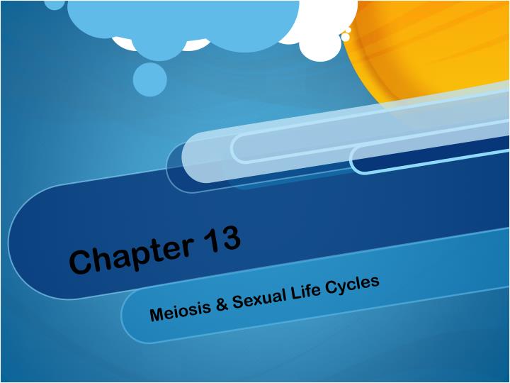 chapter 13