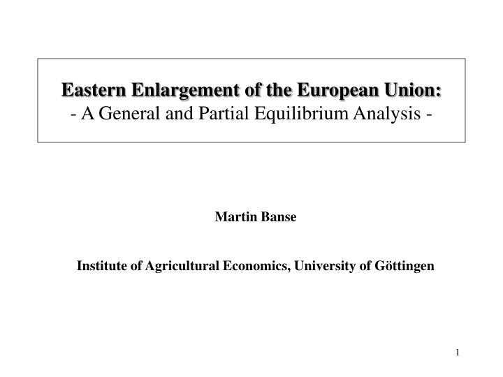 eastern enlargement of the european union a general and partial equilibrium analysis