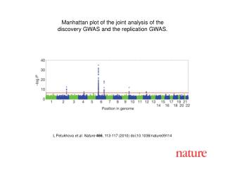 L Petukhova et al. Nature 466 , 113-117 (2010) doi:10.1038/nature09114