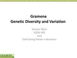Gramene Genetic Diversity and Variation