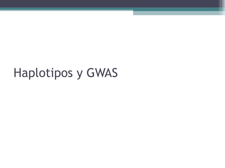 haplotipos y gwas