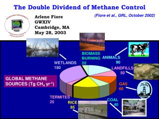 The Double Dividend of Methane Control
