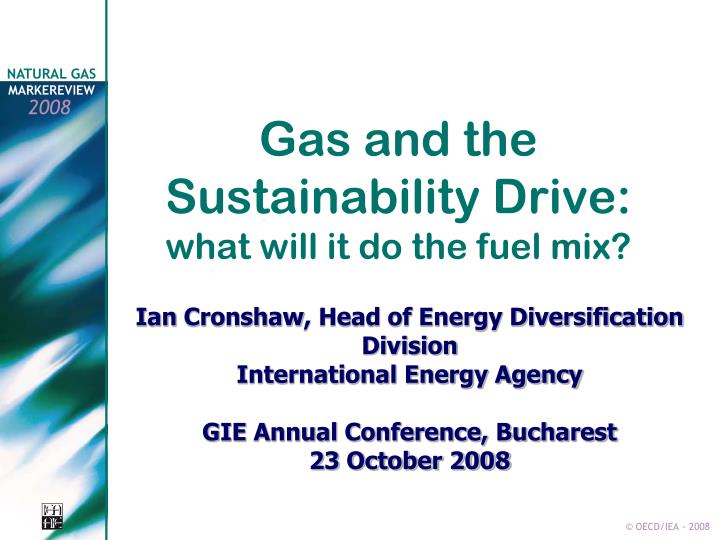gas and the sustainability drive what will it do the fuel mix