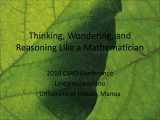 Thinking, Wondering, and Reasoning Like a Mathematician