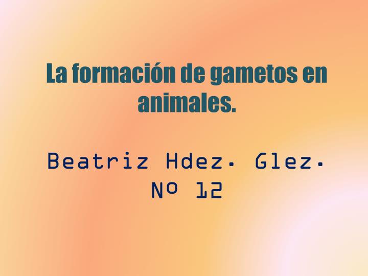 la formaci n de gametos en animales beatriz hdez glez n 12