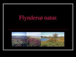 flynders natur
