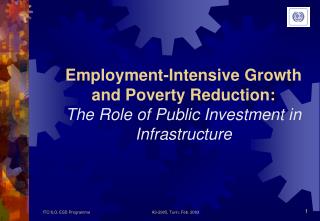 Employment-Intensive Growth and Poverty Reduction: The Role of Public Investment in Infrastructure