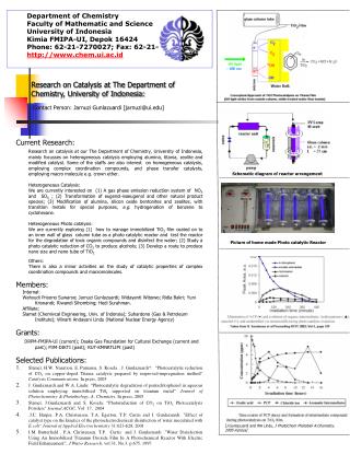 Research on Catalysis at The Department of Chemistry, University of Indonesia: