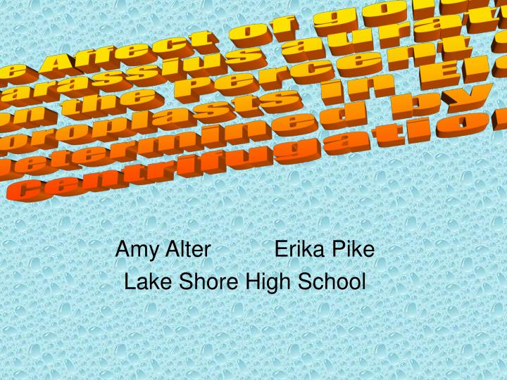 amy alter erika pike lake shore high school