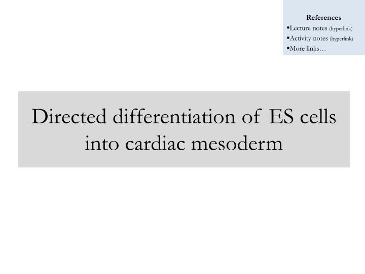 directed differentiation of es cells into cardiac mesoderm