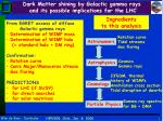 Dark Matter Insights from Galactic Gamma Rays: Implications for LHC and WIMP Understanding - slide 1