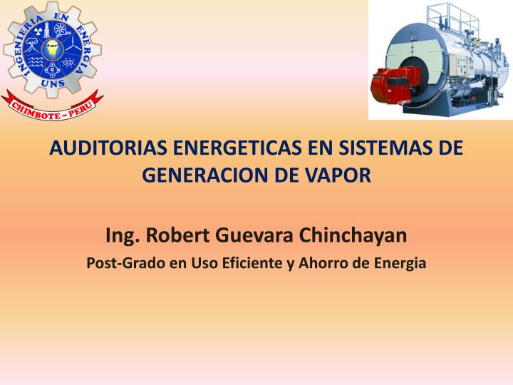 auditorias energeticas en sistemas de generacion de vapor