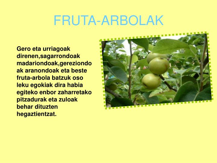fruta arbolak