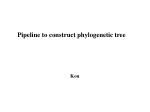 Pipeline to construct phylogenetic tree - slide 1