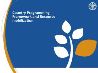 Country Programming Framework and Resource mobilization