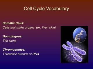 Cell Cycle Vocabulary