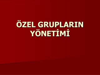 zel gruplarin y net m