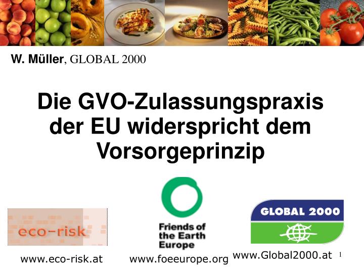 die gvo zulassungspraxis der eu widerspricht dem vorsorgeprinzip