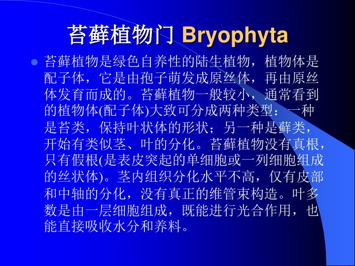 bryophyta