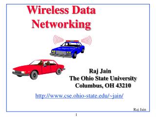 Wireless Data Networking