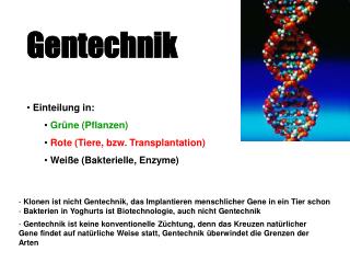 Gentechnik Einteilung in: Grüne (Pflanzen) Rote (Tiere, bzw. Transplantation)