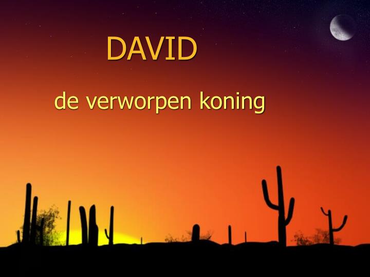 david