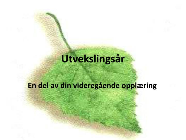 utvekslings r