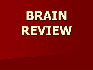 BRAIN REVIEW