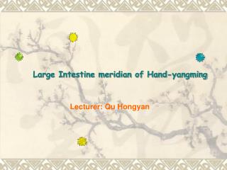 Lecturer: Qu Hongyan
