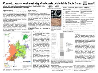 Contexto deposicional e estratigrafia da parte ocidental da Bacia Bauru