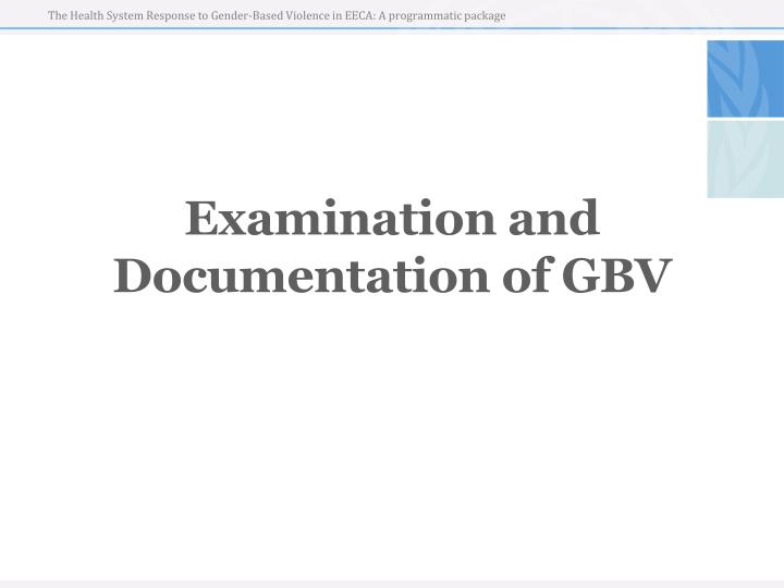 examination and documentation of gbv